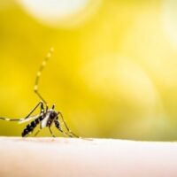 Aumentan casos sospechosos y confirmados de dengue en el país